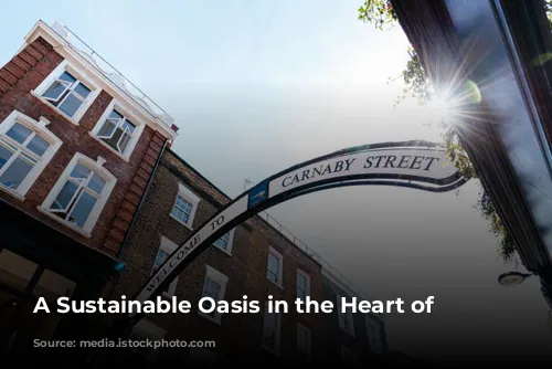 A Sustainable Oasis in the Heart of London