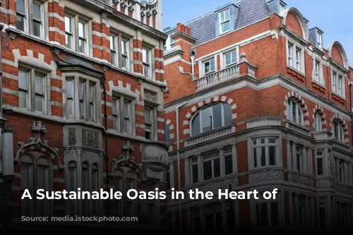 A Sustainable Oasis in the Heart of London