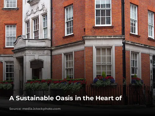 A Sustainable Oasis in the Heart of London