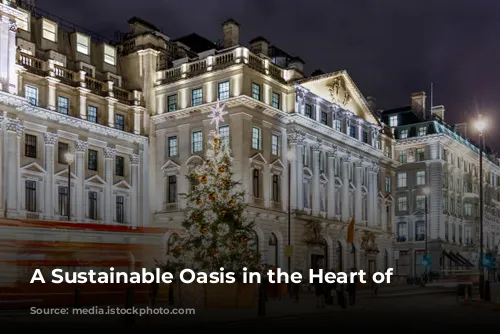 A Sustainable Oasis in the Heart of London