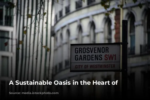 A Sustainable Oasis in the Heart of London