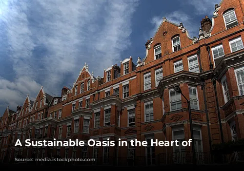 A Sustainable Oasis in the Heart of London