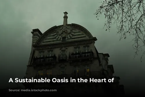 A Sustainable Oasis in the Heart of London