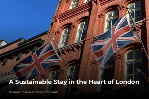 A Sustainable Stay in the Heart of London