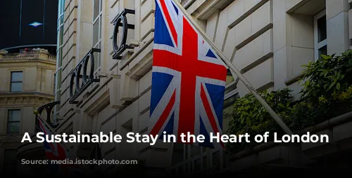 A Sustainable Stay in the Heart of London