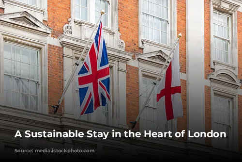 A Sustainable Stay in the Heart of London