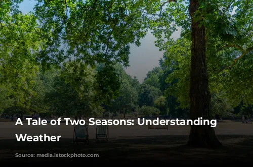 A Tale of Two Seasons: Understanding London's Weather