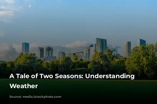 A Tale of Two Seasons: Understanding London's Weather