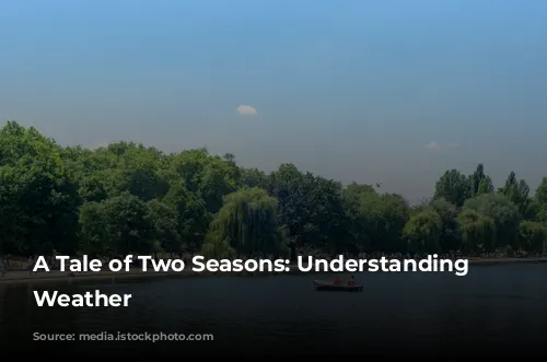 A Tale of Two Seasons: Understanding London's Weather