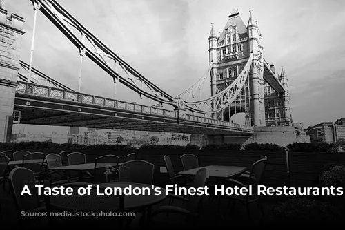 A Taste of London's Finest Hotel Restaurants