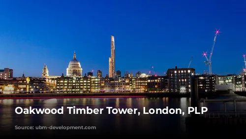 Oakwood Timber Tower, London, PLP Architecture