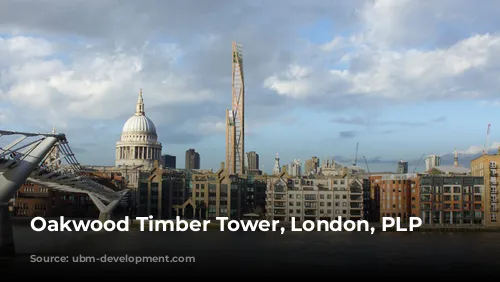 Oakwood Timber Tower, London, PLP Architecture