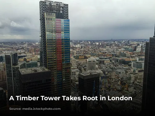 A Timber Tower Takes Root in London