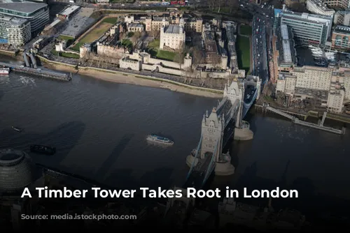 A Timber Tower Takes Root in London