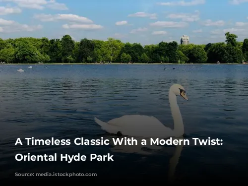 A Timeless Classic With a Modern Twist: Mandarin Oriental Hyde Park