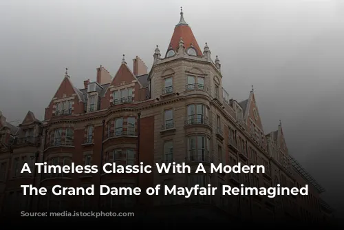 A Timeless Classic With A Modern Twist: The Grand Dame of Mayfair Reimagined