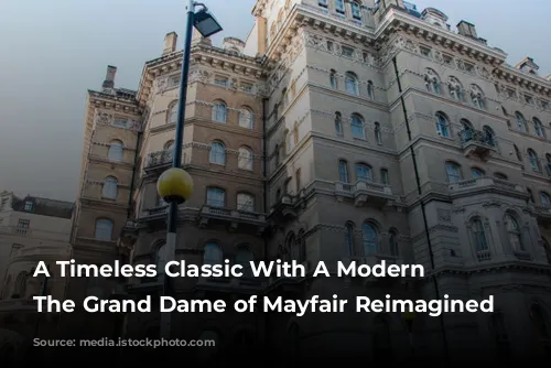 A Timeless Classic With A Modern Twist: The Grand Dame of Mayfair Reimagined