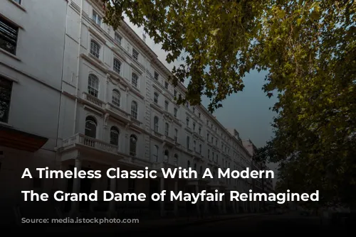 A Timeless Classic With A Modern Twist: The Grand Dame of Mayfair Reimagined