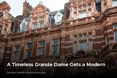 A Timeless Grande Dame Gets a Modern Makeover