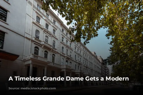 A Timeless Grande Dame Gets a Modern Makeover