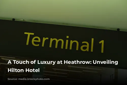 A Touch of Luxury at Heathrow: Unveiling the Hilton Hotel