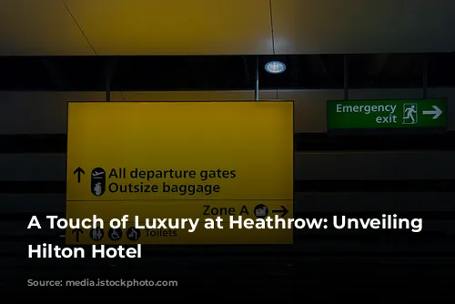 A Touch of Luxury at Heathrow: Unveiling the Hilton Hotel