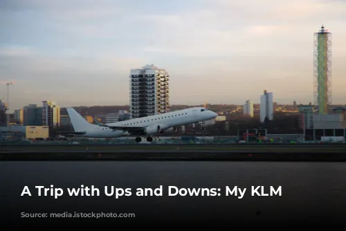 A Trip with Ups and Downs: My KLM Experience