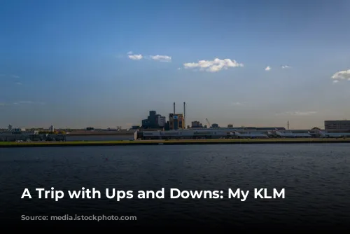 A Trip with Ups and Downs: My KLM Experience