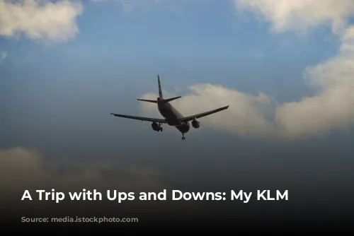 A Trip with Ups and Downs: My KLM Experience