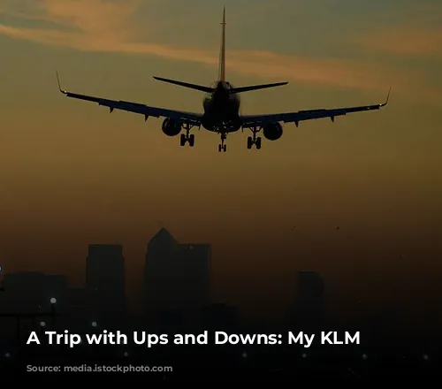 A Trip with Ups and Downs: My KLM Experience