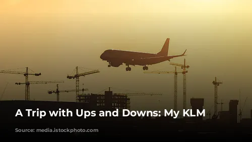 A Trip with Ups and Downs: My KLM Experience