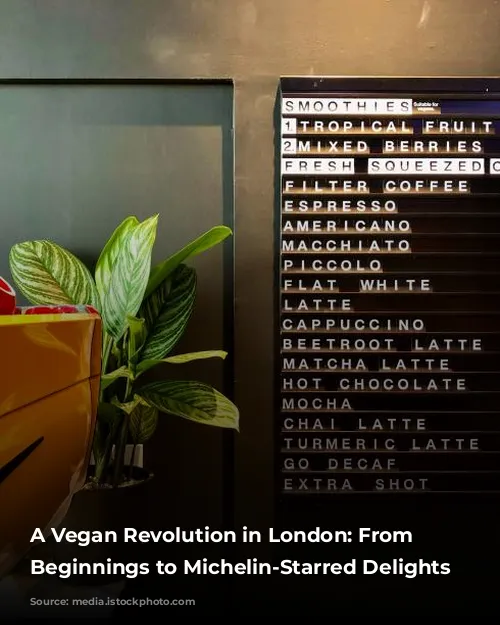 A Vegan Revolution in London: From Humble Beginnings to Michelin-Starred Delights