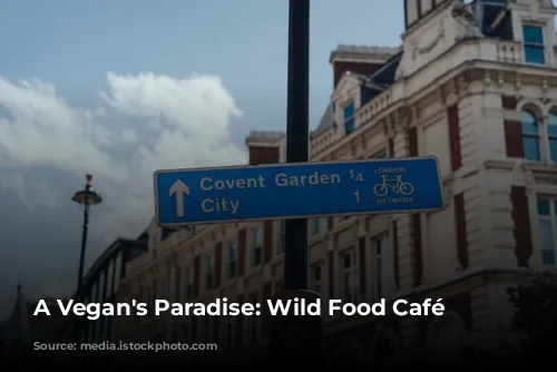 A Vegan's Paradise: Wild Food Café