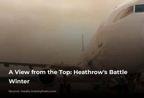 A View from the Top: Heathrow's Battle Against Winter