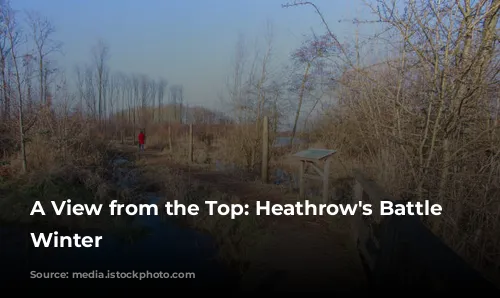 A View from the Top: Heathrow's Battle Against Winter