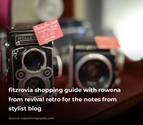 fitzrovia shopping guide with rowena howie from revival retro for the notes from a stylist blog