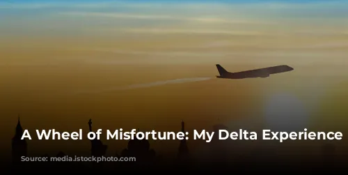 A Wheel of Misfortune: My Delta Experience