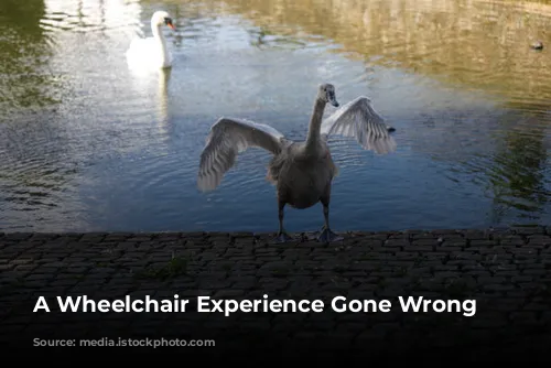 A Wheelchair Experience Gone Wrong