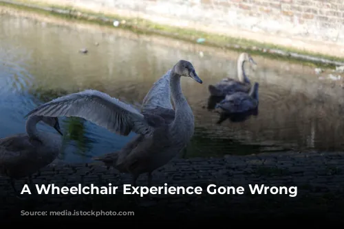 A Wheelchair Experience Gone Wrong