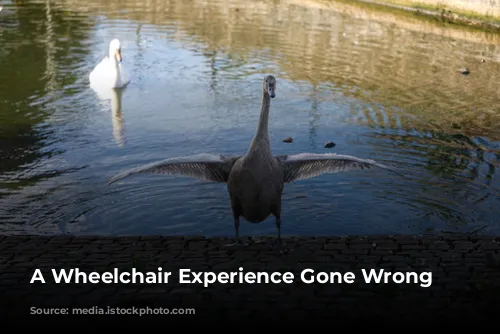 A Wheelchair Experience Gone Wrong