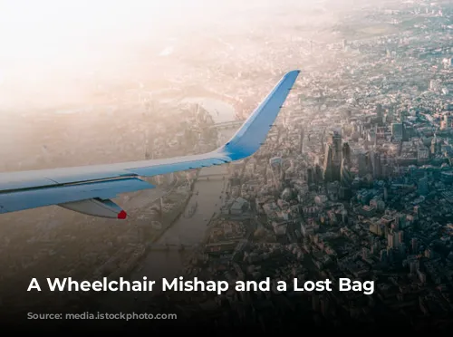 A Wheelchair Mishap and a Lost Bag