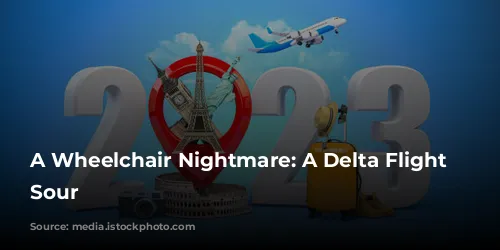 A Wheelchair Nightmare: A Delta Flight Turns Sour