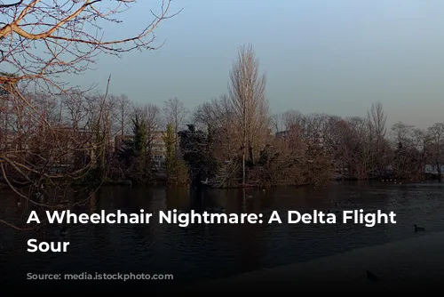 A Wheelchair Nightmare: A Delta Flight Turns Sour