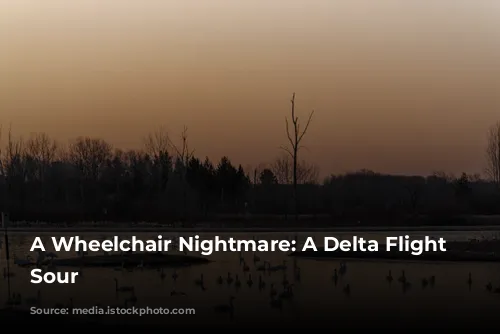 A Wheelchair Nightmare: A Delta Flight Turns Sour