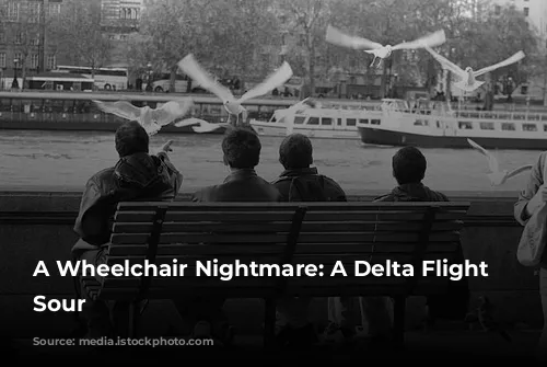 A Wheelchair Nightmare: A Delta Flight Turns Sour