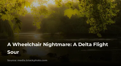 A Wheelchair Nightmare: A Delta Flight Turns Sour