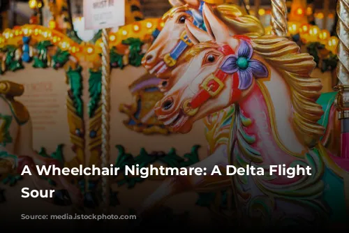 A Wheelchair Nightmare: A Delta Flight Turns Sour