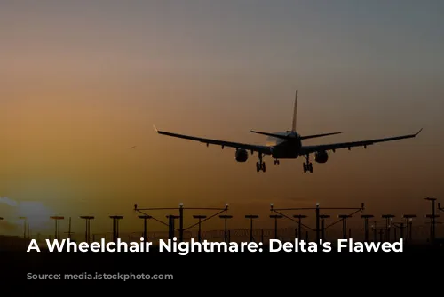 A Wheelchair Nightmare: Delta's Flawed Service