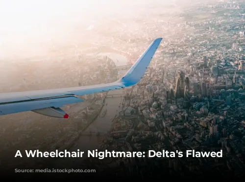 A Wheelchair Nightmare: Delta's Flawed Service