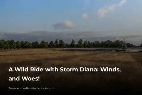 A Wild Ride with Storm Diana: Winds, Waves, and Woes!